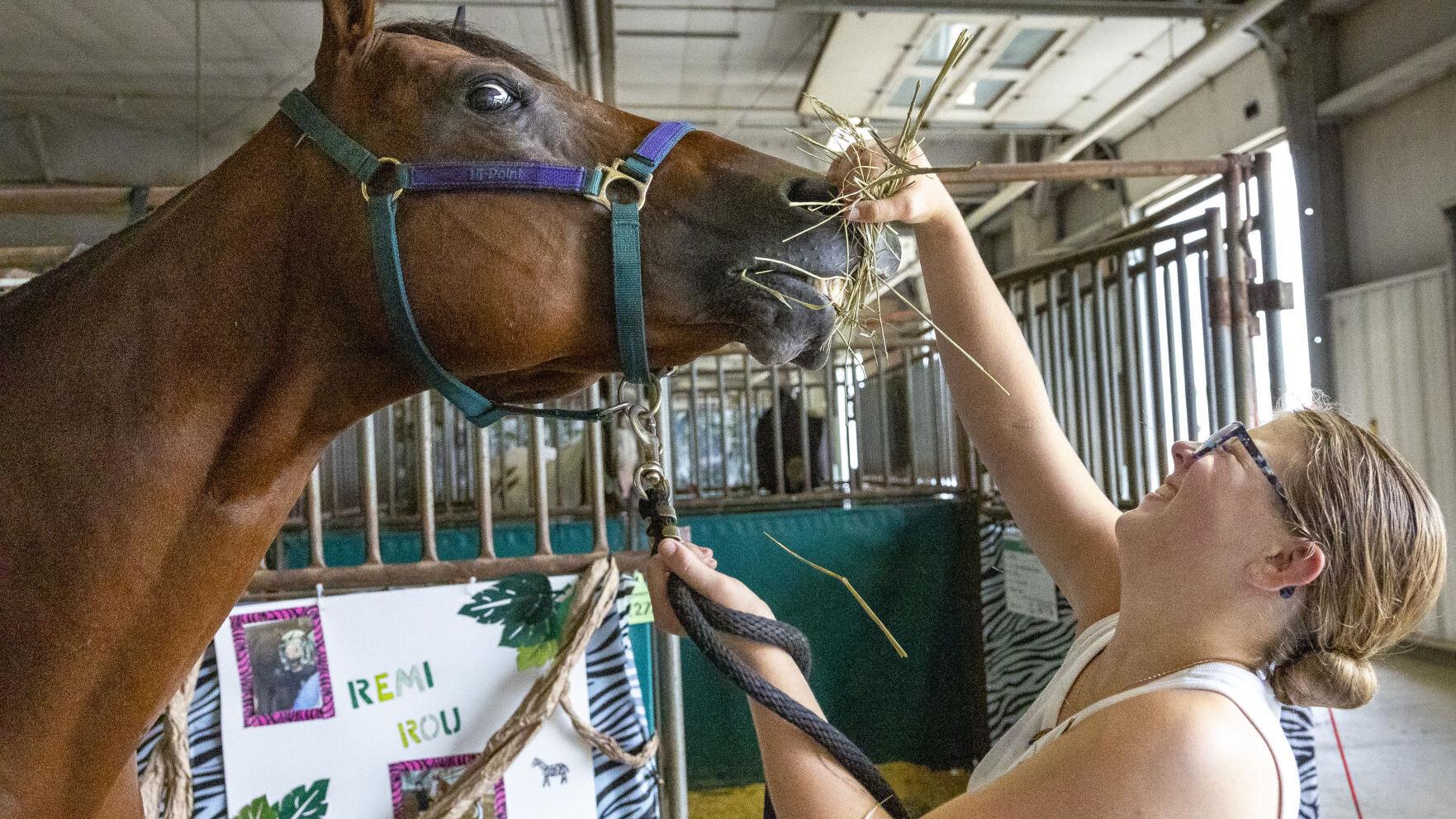 Lancaster County Super Fair begins 10-day run on Thursday